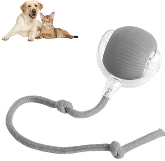 Pelota Mascota Inteligente Rodante